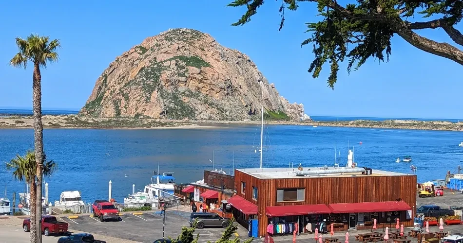 Morro Bay Food Guide: Best Restaurants, Seafood & Local Dining Experiences